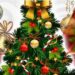 ナジャ・グランディーバとお洒落な仲間たち　ＸＭＡＳ　ＮＩＧＨＴ　２０２２